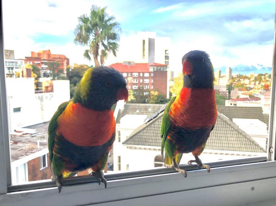 Artistic, Spacious And Comfortable 1 Bedroom