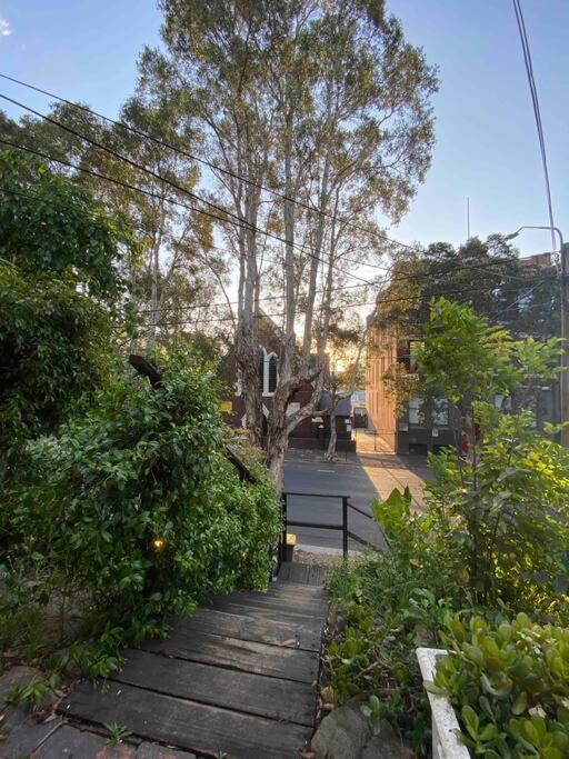Immaculate 3 Bed - Close To Everything! Sydney