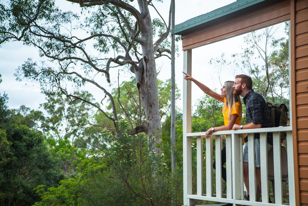 Discovery Parks - Lane Cove Holiday park