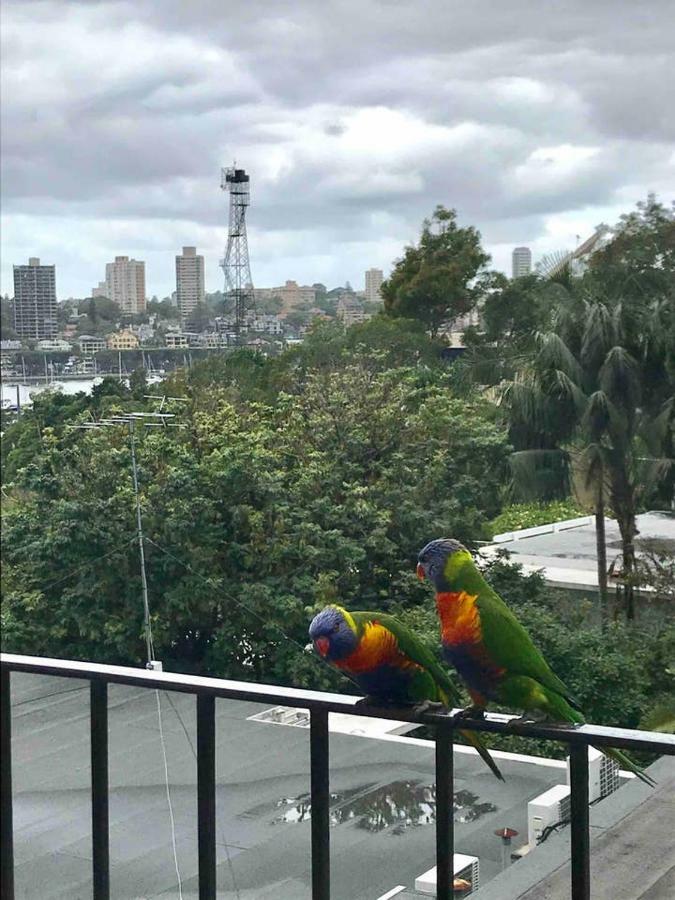 Paris End Potts Point Harbour View! Sydney