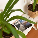 The Haven On Campbell - A Bondi Beachfront Address