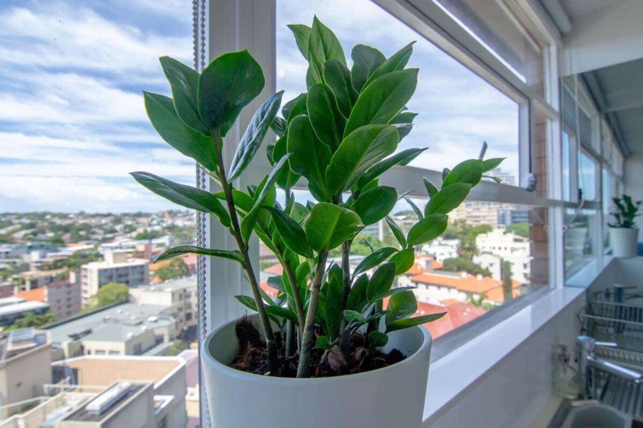 Bright 1 Bedroom With Amazing Views *