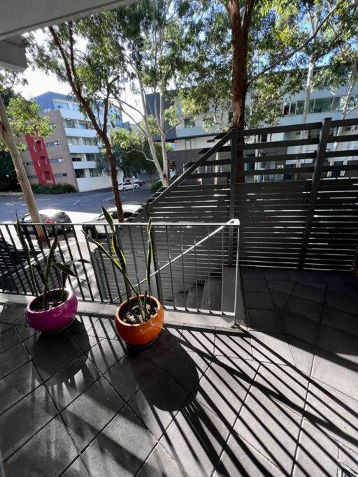 Spacious Terraced Style In Zetland Apartment Sydney