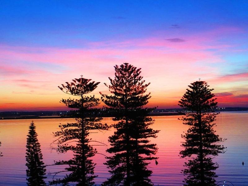 South Bay And Airport Homestay *
