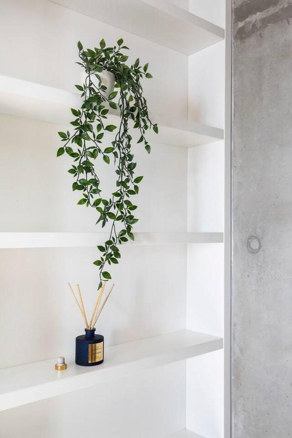 'the Fern' Split-level Oasis With Lush Courtyard Apartment Sydney