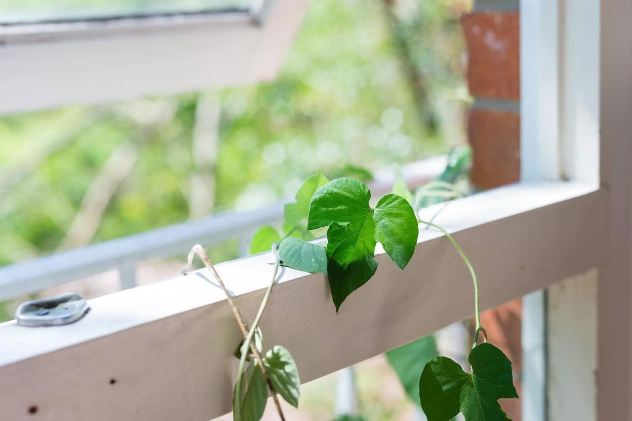 Leafy Paddington With Harbour Views Apartment *