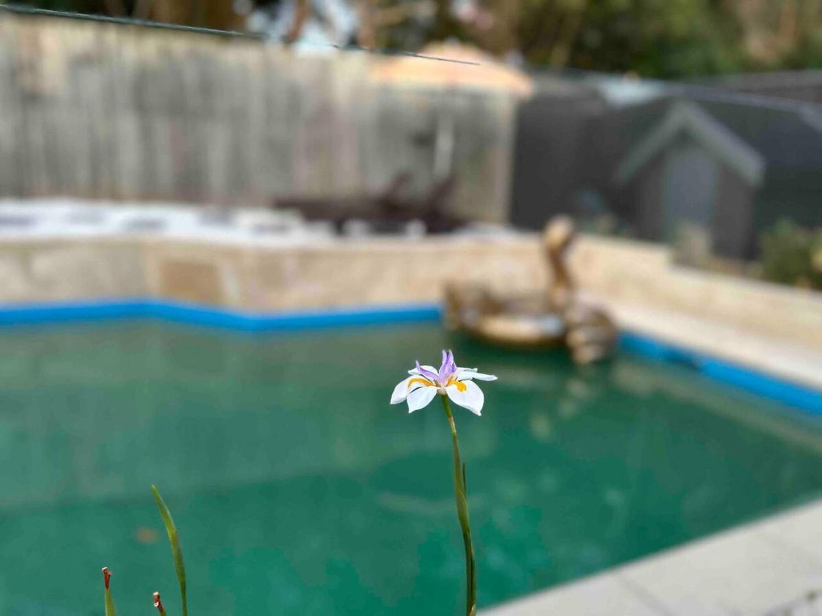 Heated Toilet Seat - Air Conditioning- Hot Tub - Dryer - Electrical Bbq Grill - Pool - Arcade Games At Golden Swan House *