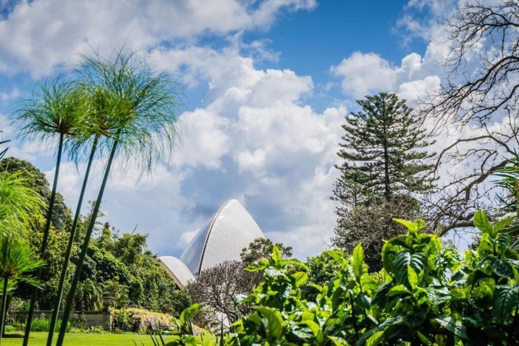 Kozyguru Cbd Convenient Nha653-511 Sydney