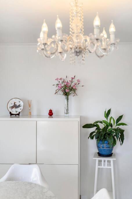 92a Comfortable 1br Abnb In Sydney, Free Parking Sydney