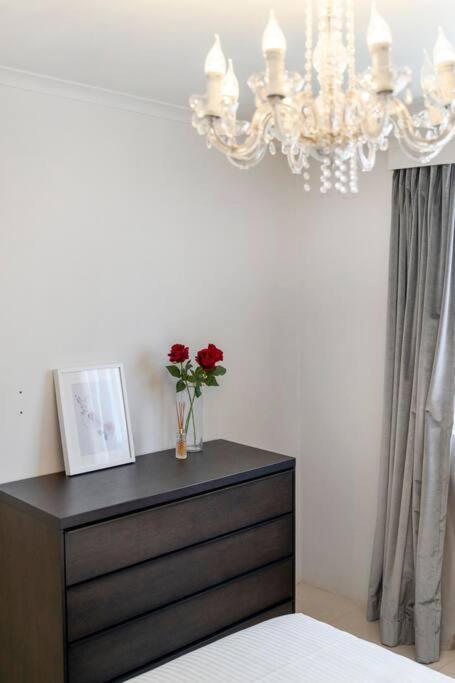 92a Comfortable 1br Abnb In Sydney, Free Parking * Sydney