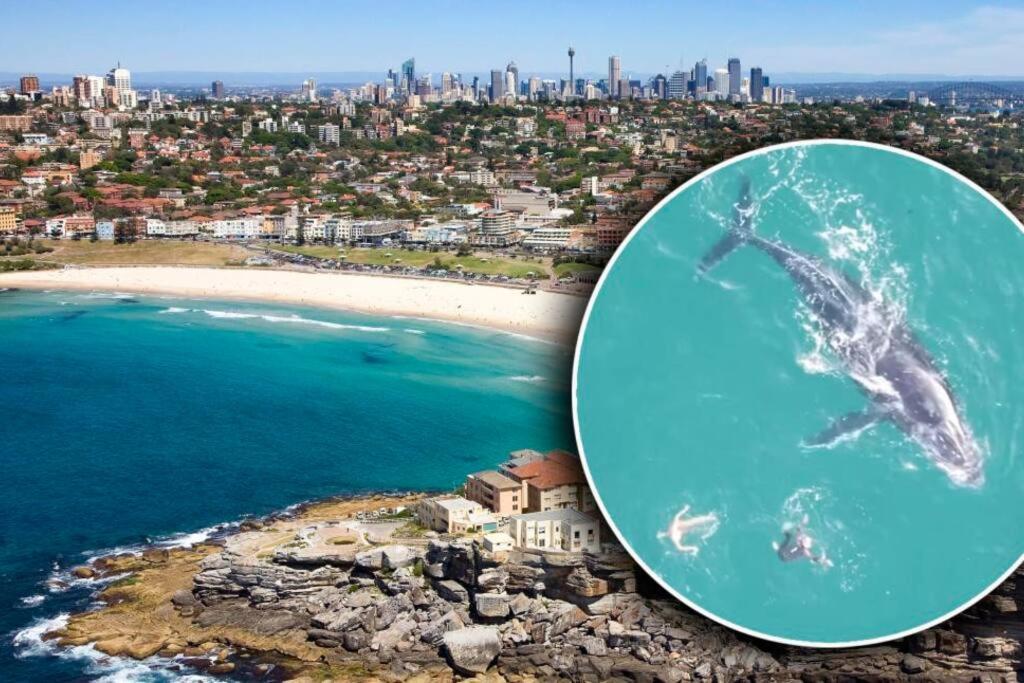 Apartment The Bondi Beachcomber