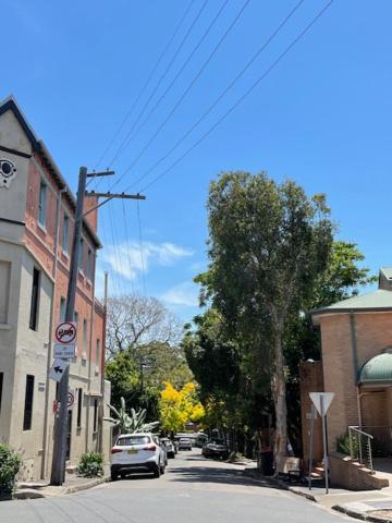 Cozy In Chippendale Darlington Sydney