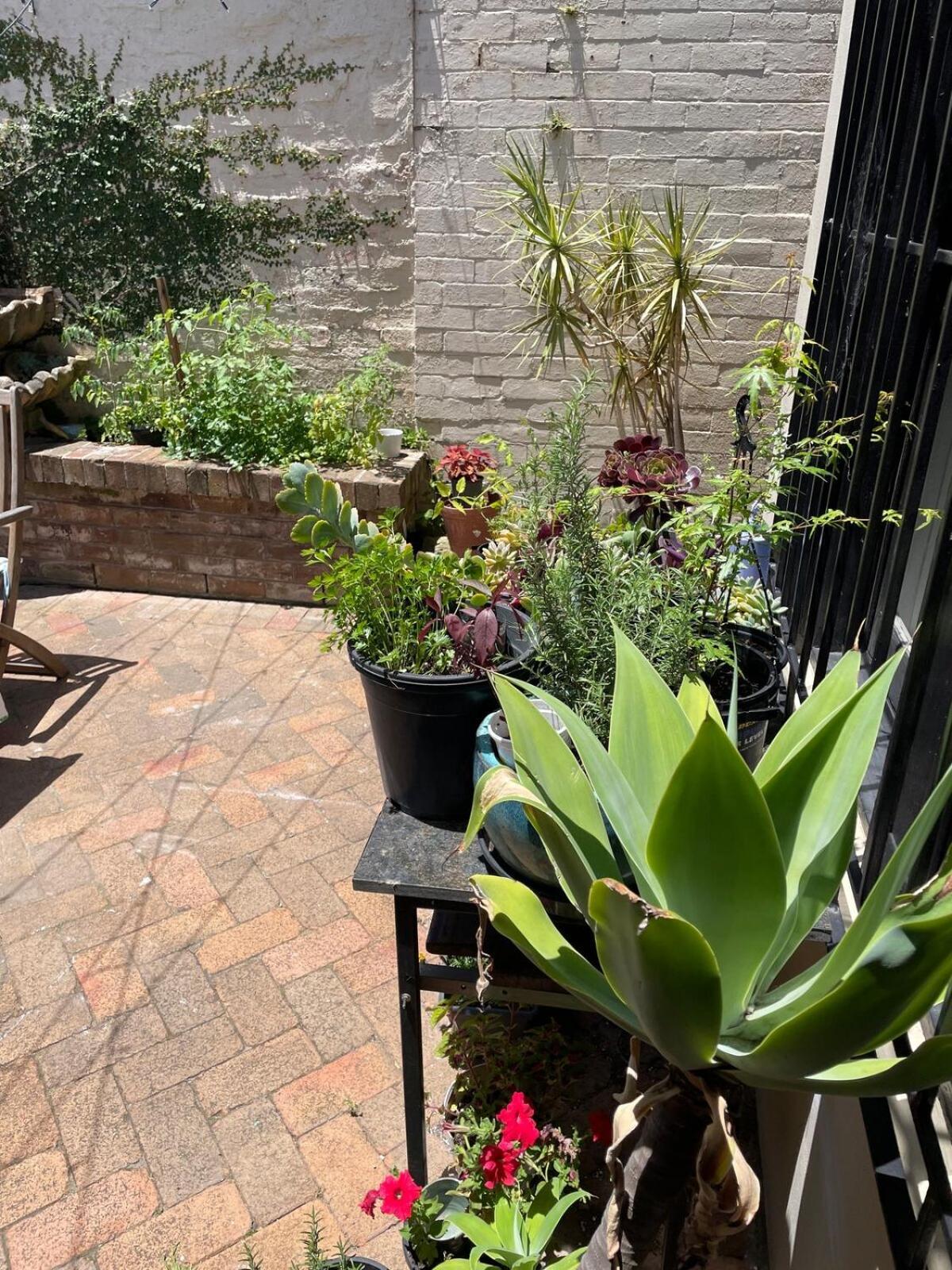 Updated Newtown Terrace Holiday home