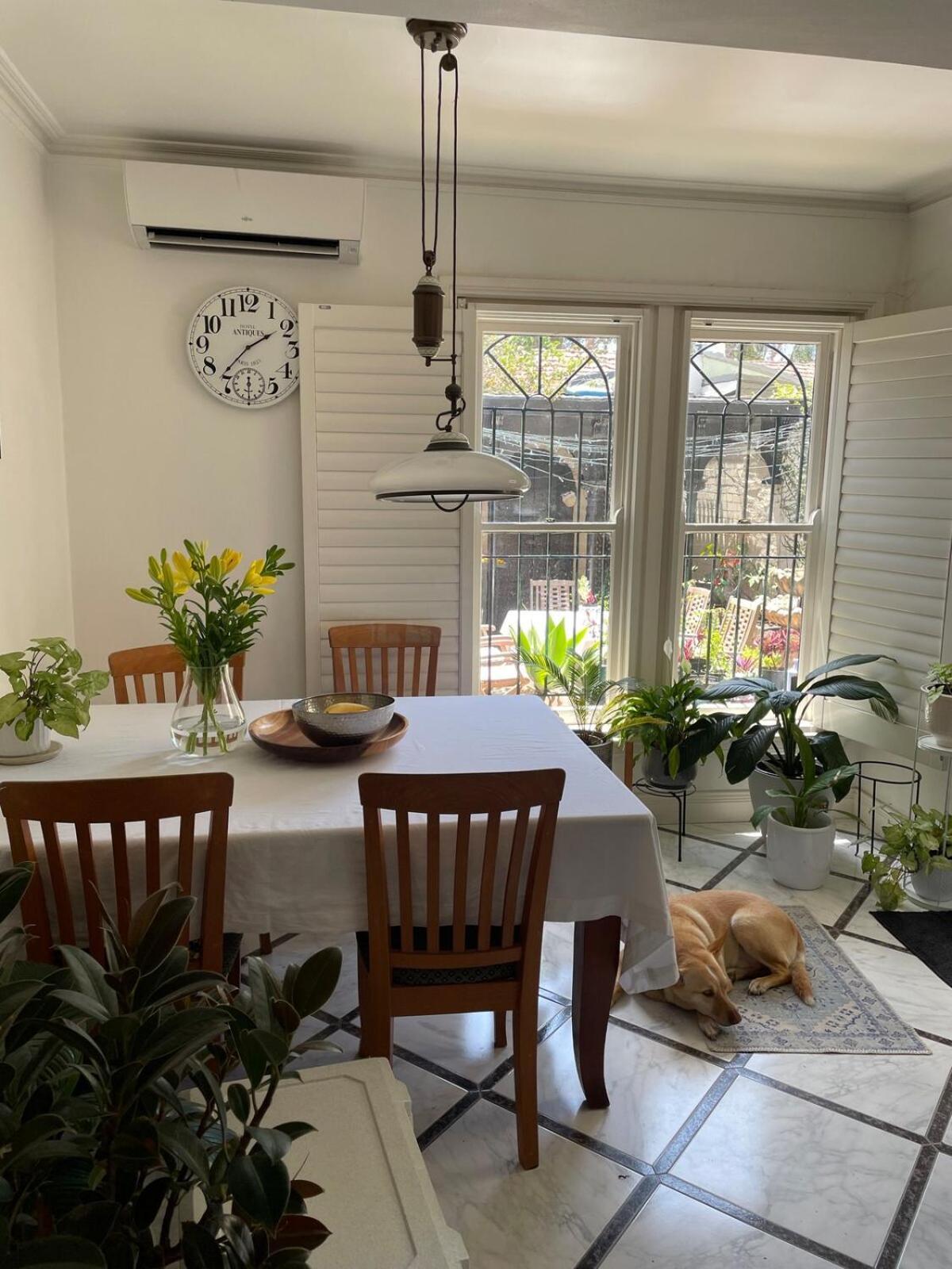 Updated Newtown Terrace Sydney