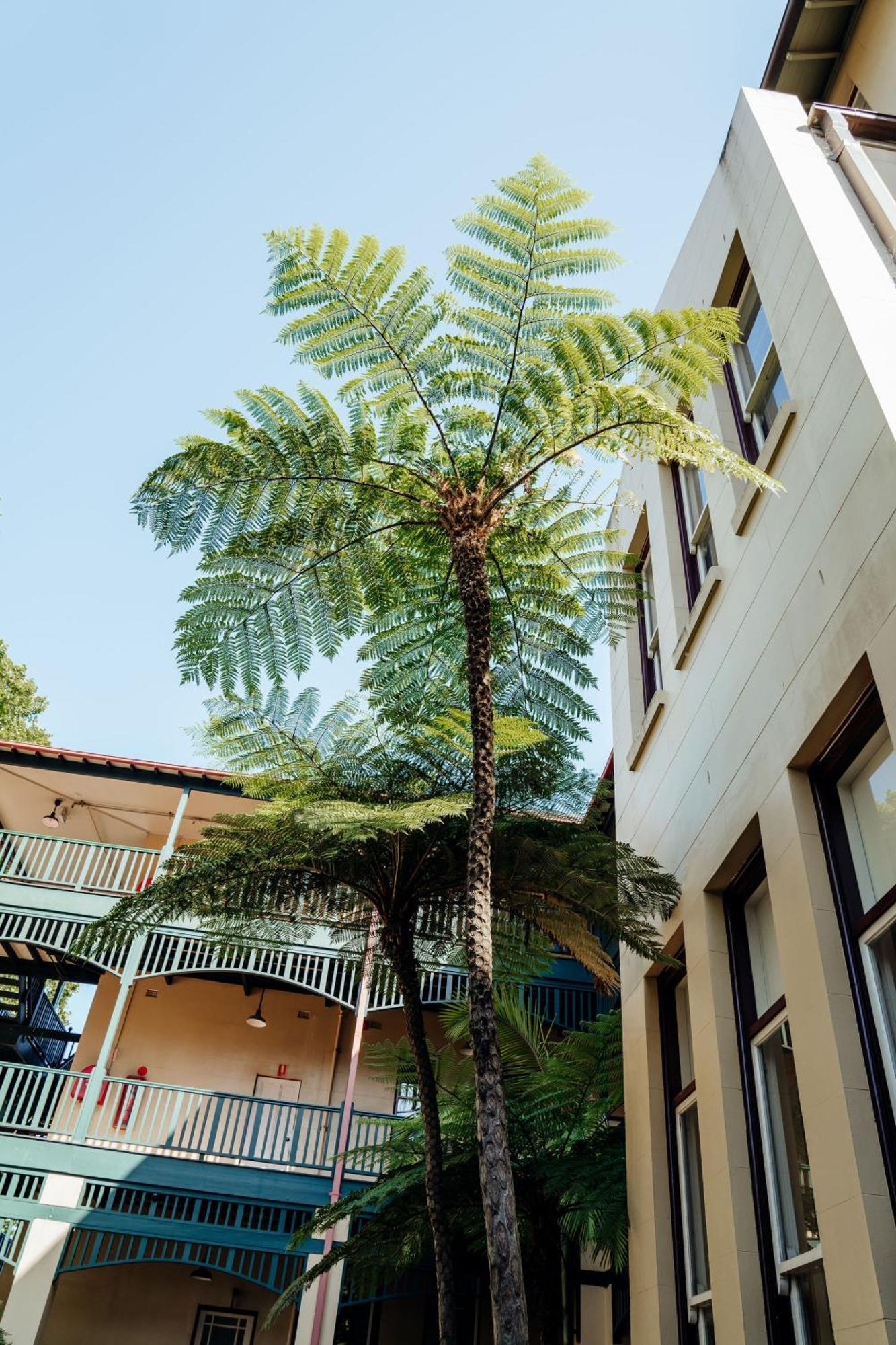 Hotel Mary Mackillop Place 3*