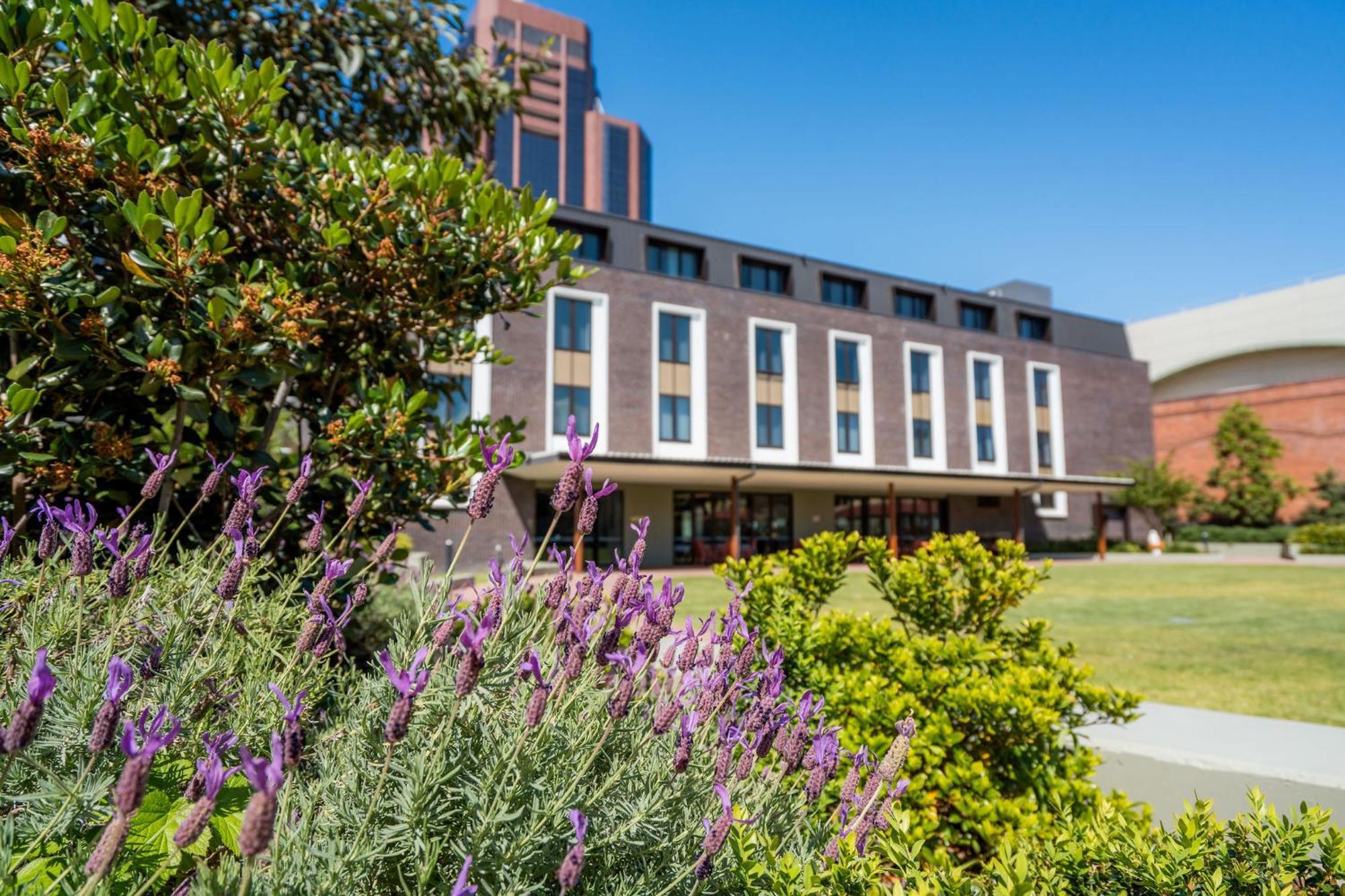 Hotel Mary Mackillop Place Sydney