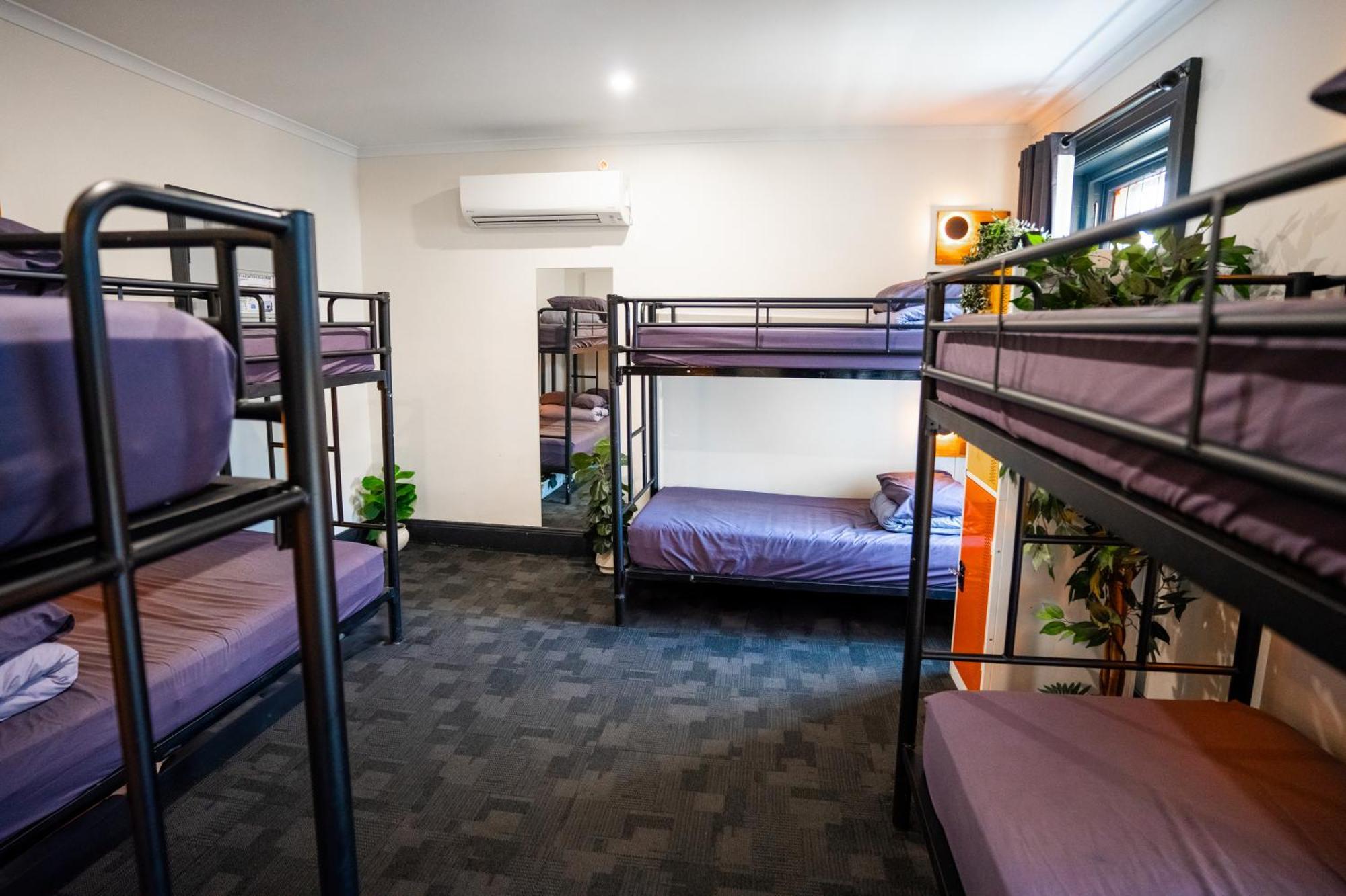 Mad Monkey Kings Cross (adults Only) Hostel