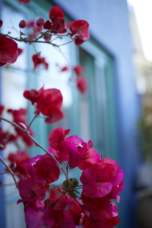 Bondi House Bed & Breakfast