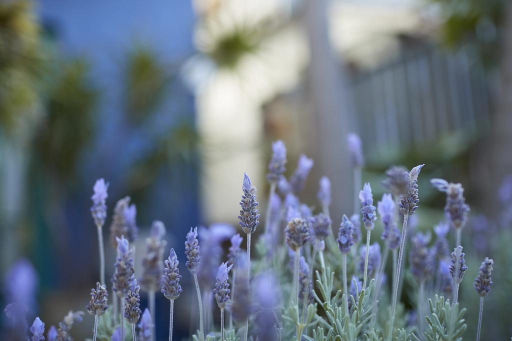 Bondi House Bed & Breakfast 3*