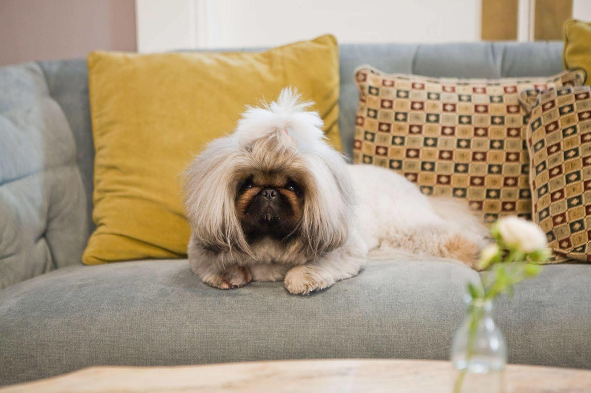 The Hughenden Boutique