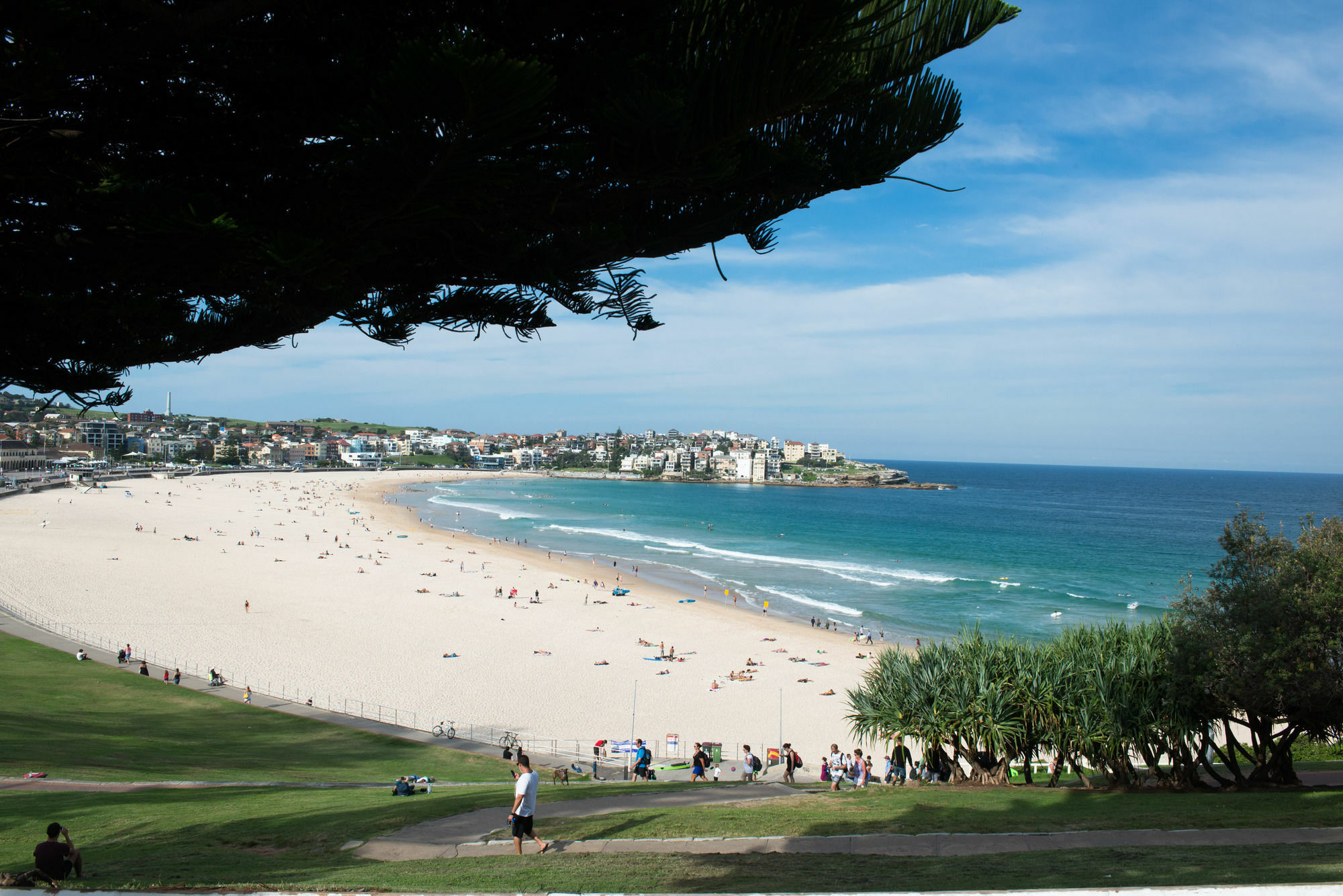 Bondi 38 Serviced Aparthotel Sydney