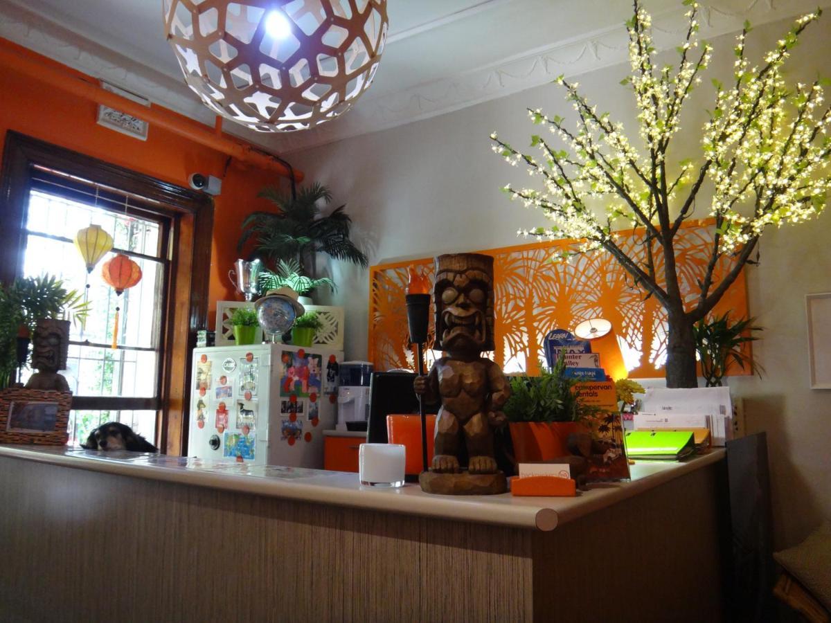 London Plane Backpackers