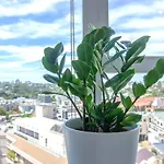 Bright 1 Bedroom Studio With Amazing City Views