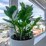 Bright 1 Bedroom Studio With Amazing City Views