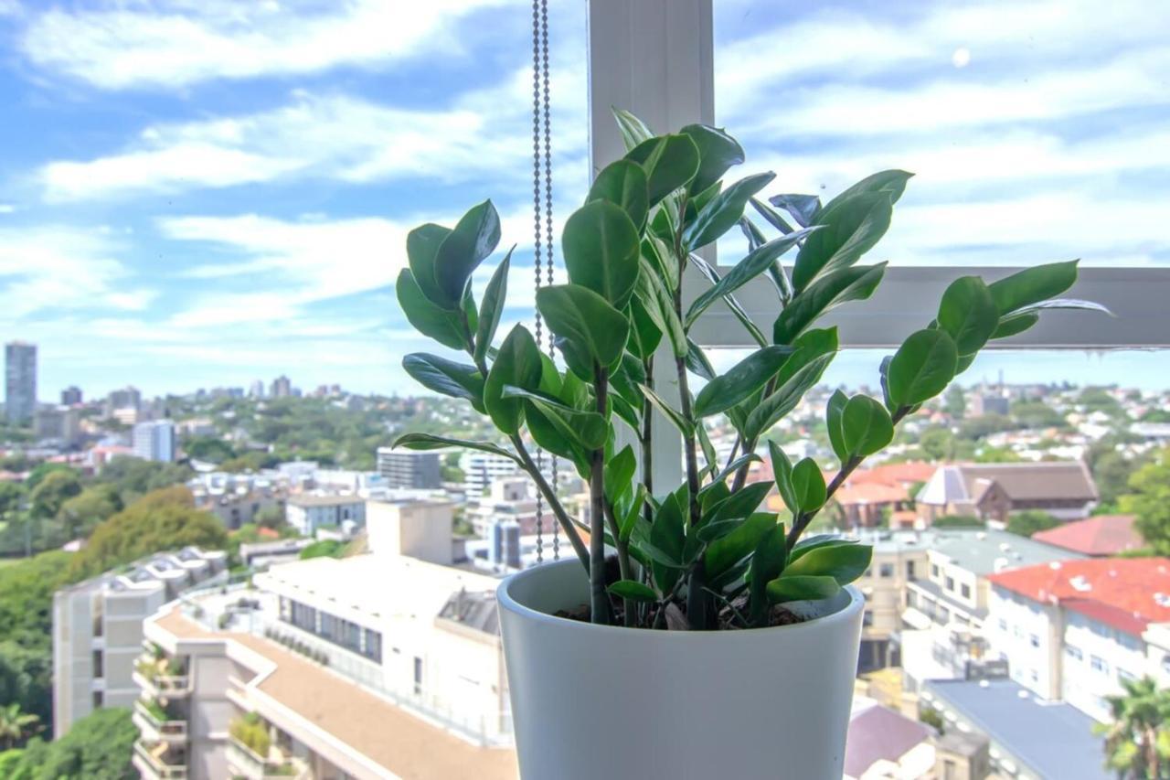 Apartment Bright 1 Bedroom With Amazing Views Sydney