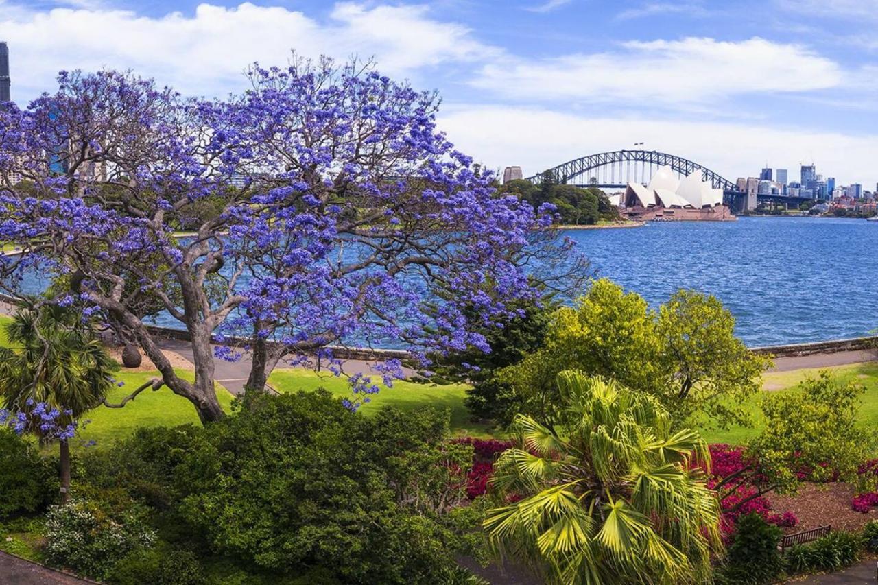Views From Potts Point With Rooftop Pool Apartment *