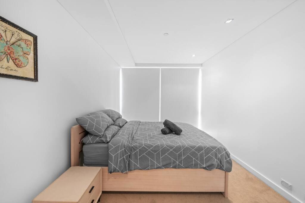 Oversized Cbd Oasis * Sydney