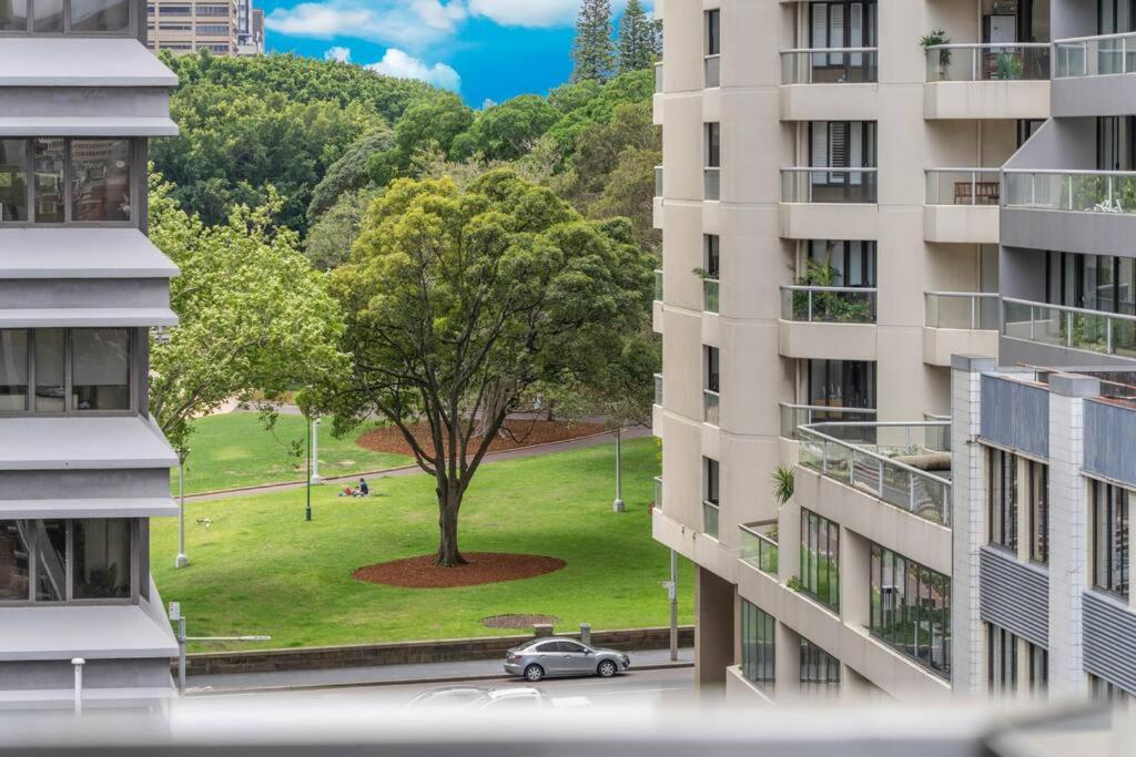 Apartment Oversized Cbd Oasis Sydney