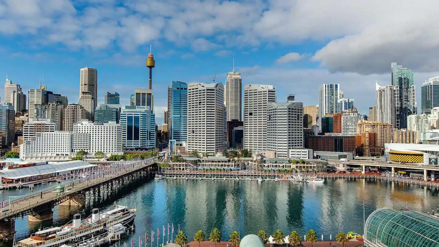 Oversized Cbd Oasis Sydney