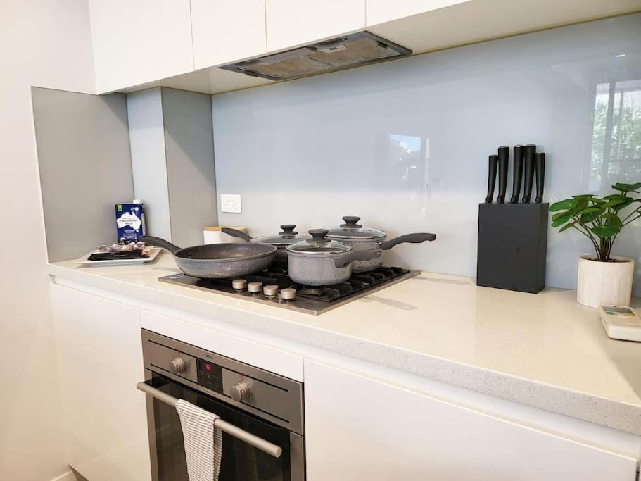 Cozy - Close To Usyd And Rpa *