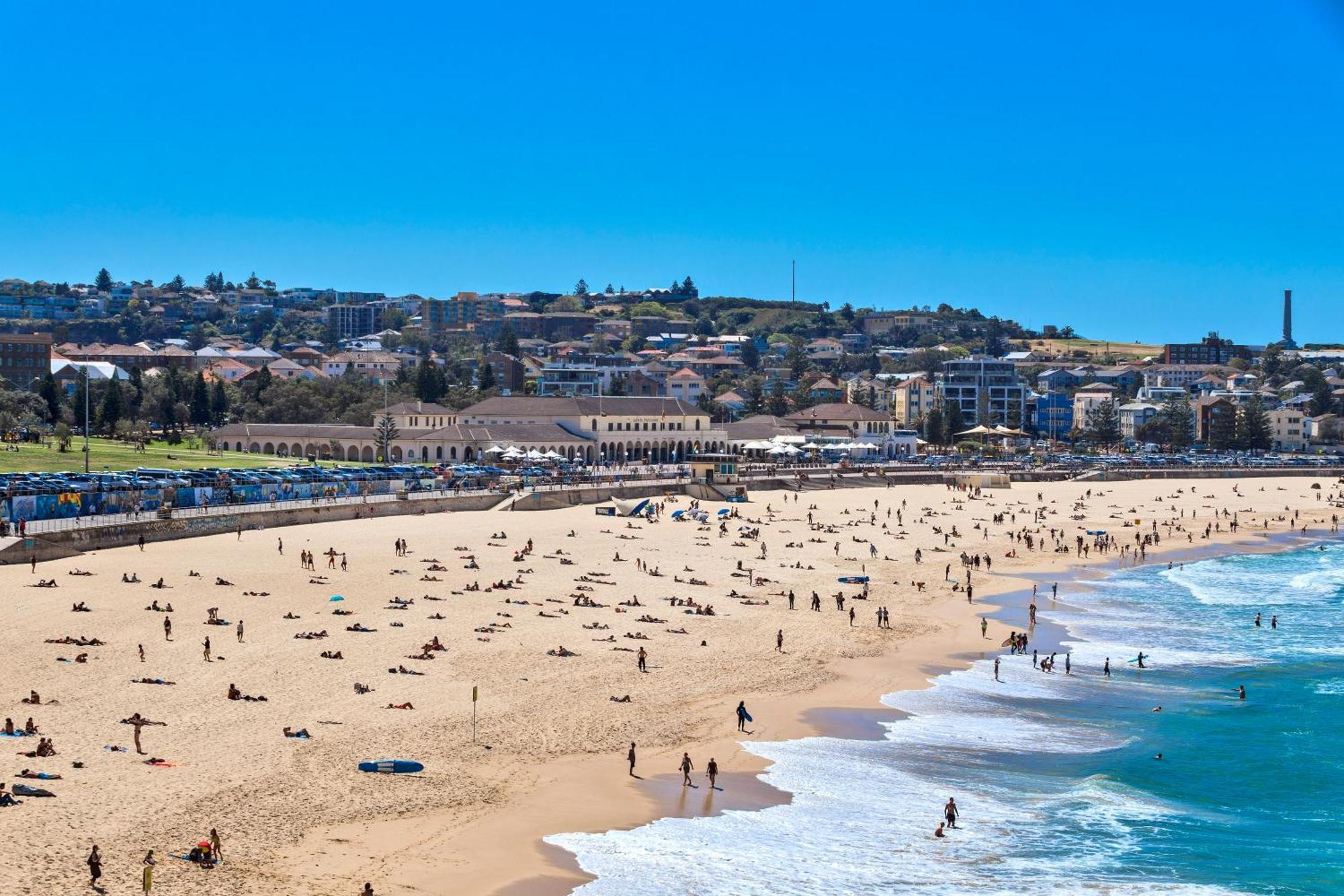 Beachfront Haven Directly Opposite Bondi