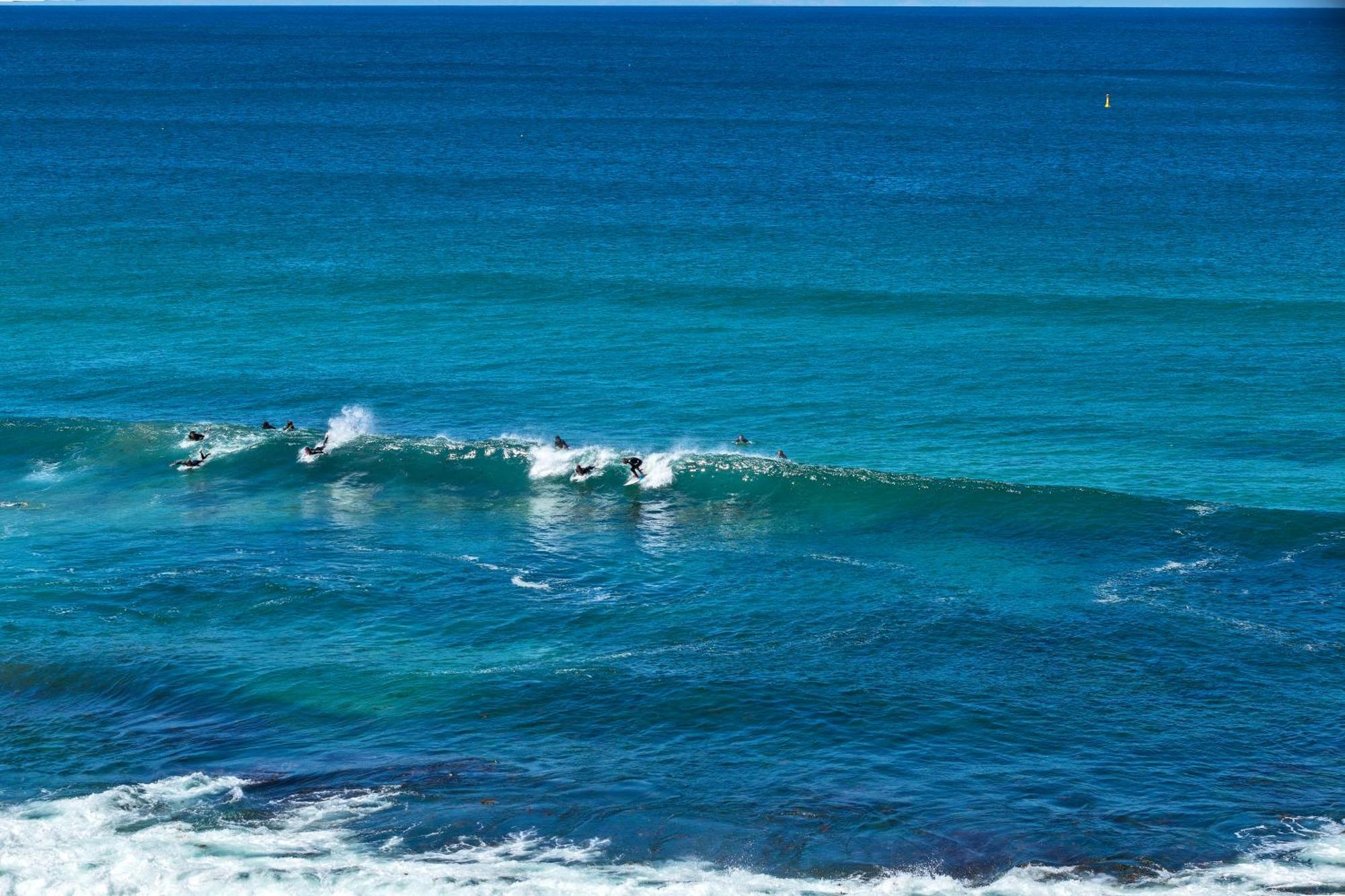 Apartment Beachfront Haven Directly Opposite Bondi *