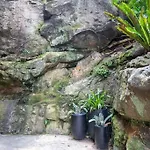 Kirribilli Kanangra