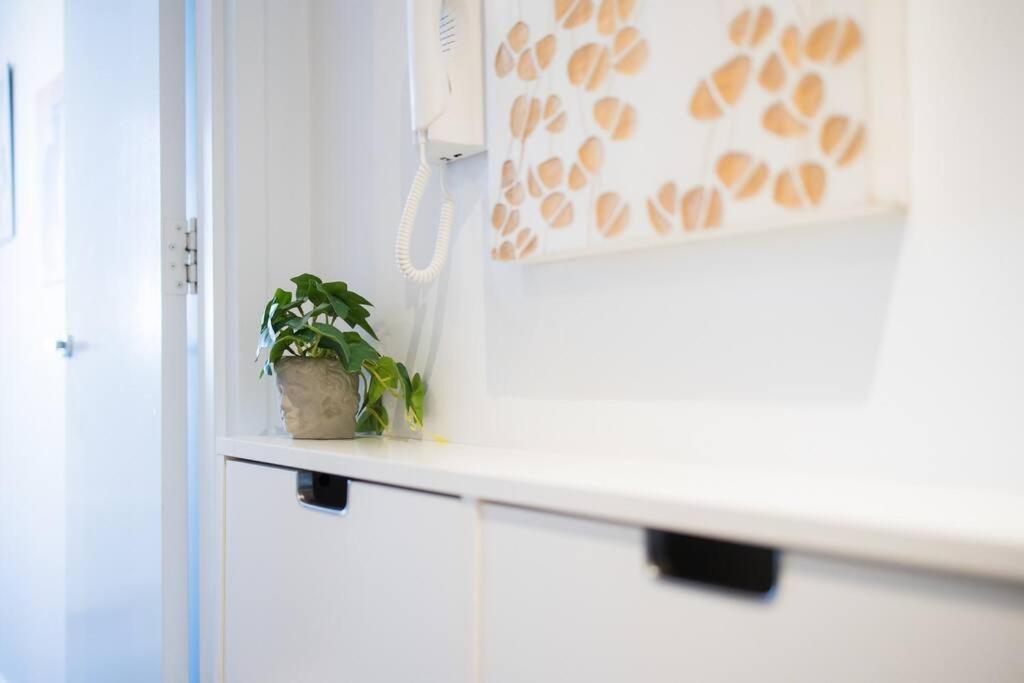 Lovely With Pool In Zetland * Sydney