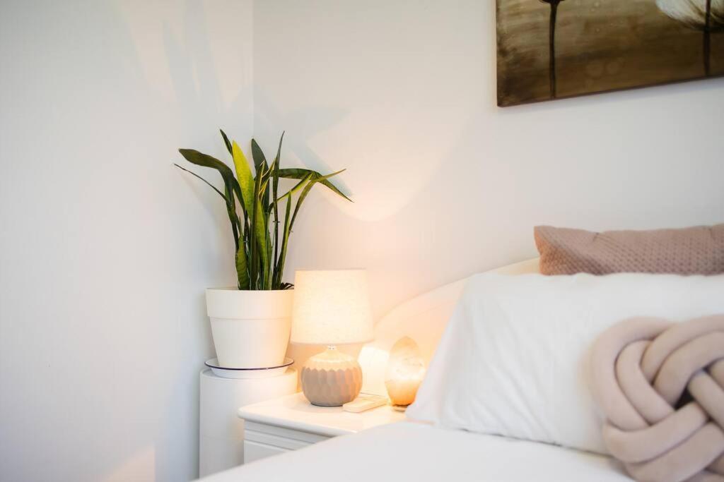Lovely With Pool In Zetland Apartment Sydney