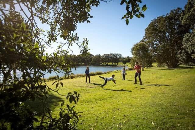 Centennial Park Light Filled Modern Sydney
