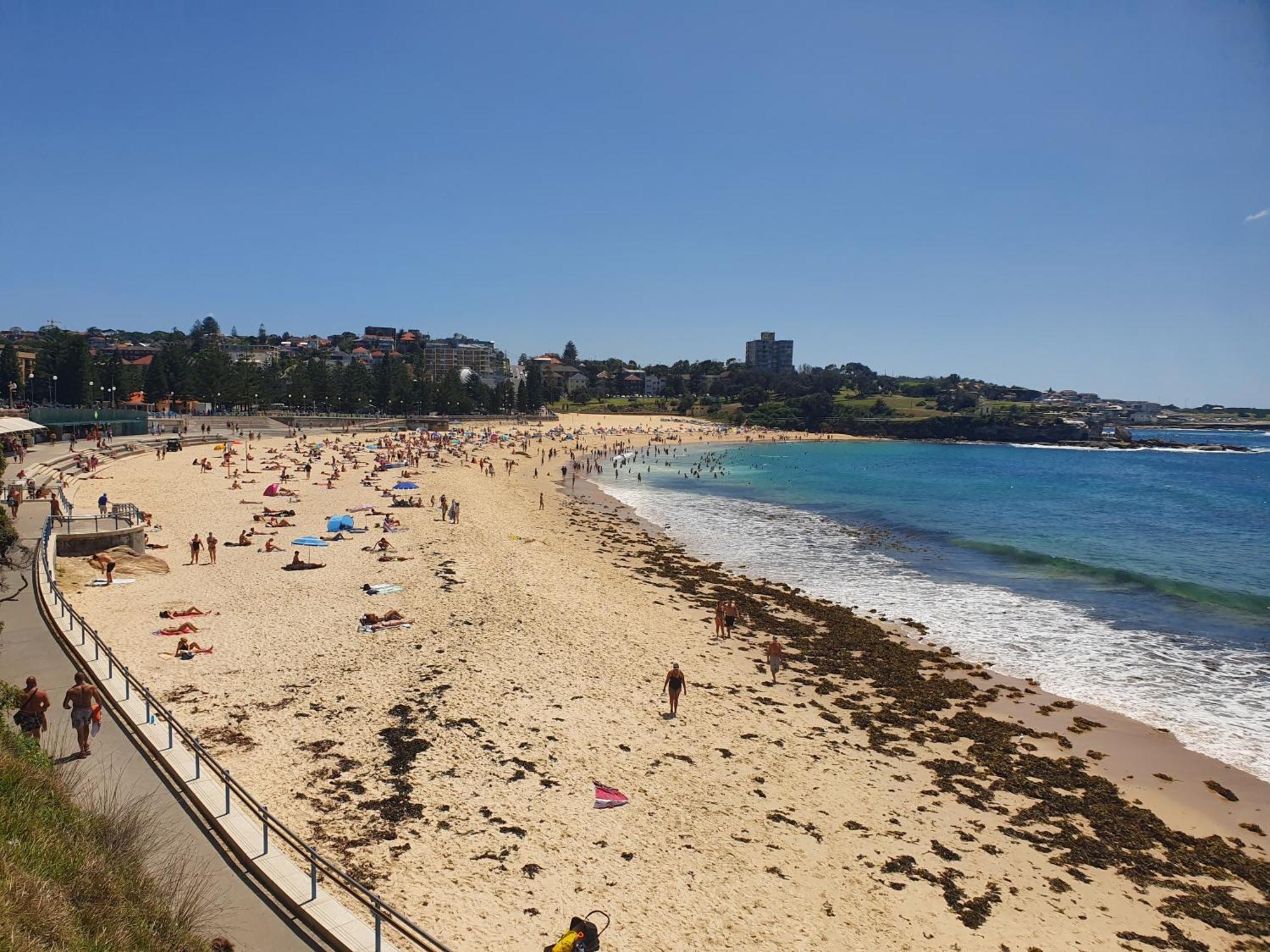 Podbed Coogee Beachside * Sydney